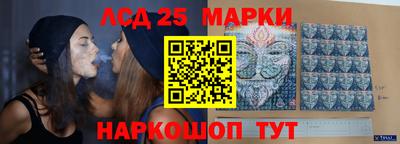 индика Гусь-Хрустальный