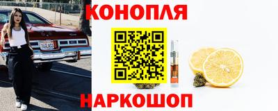 индика Гусь-Хрустальный